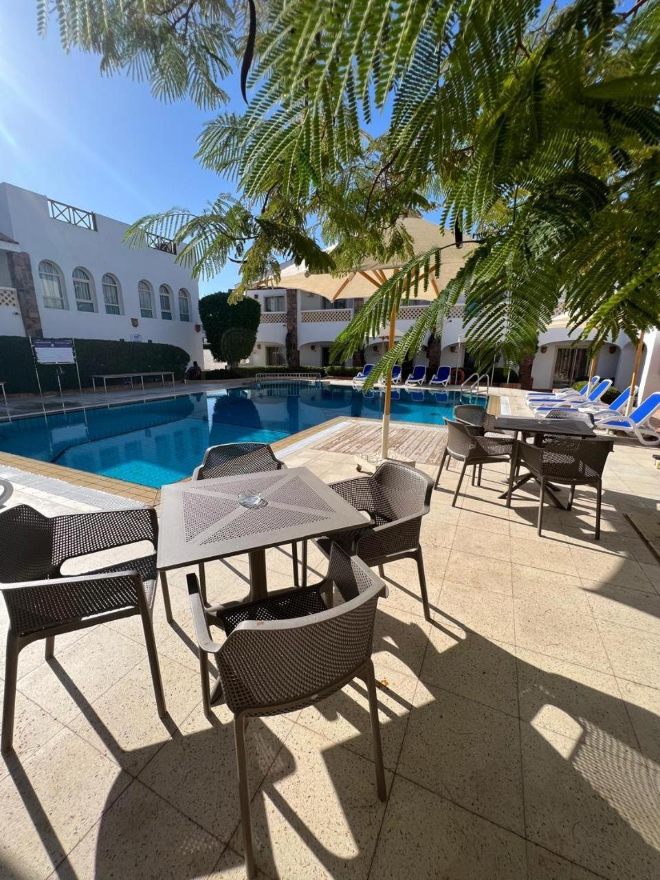Camel Dive Club & Hotel - Boutique Hotel Sharm El Sheikk Exterior foto